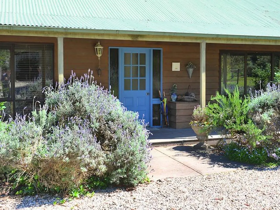 Lavender Farm