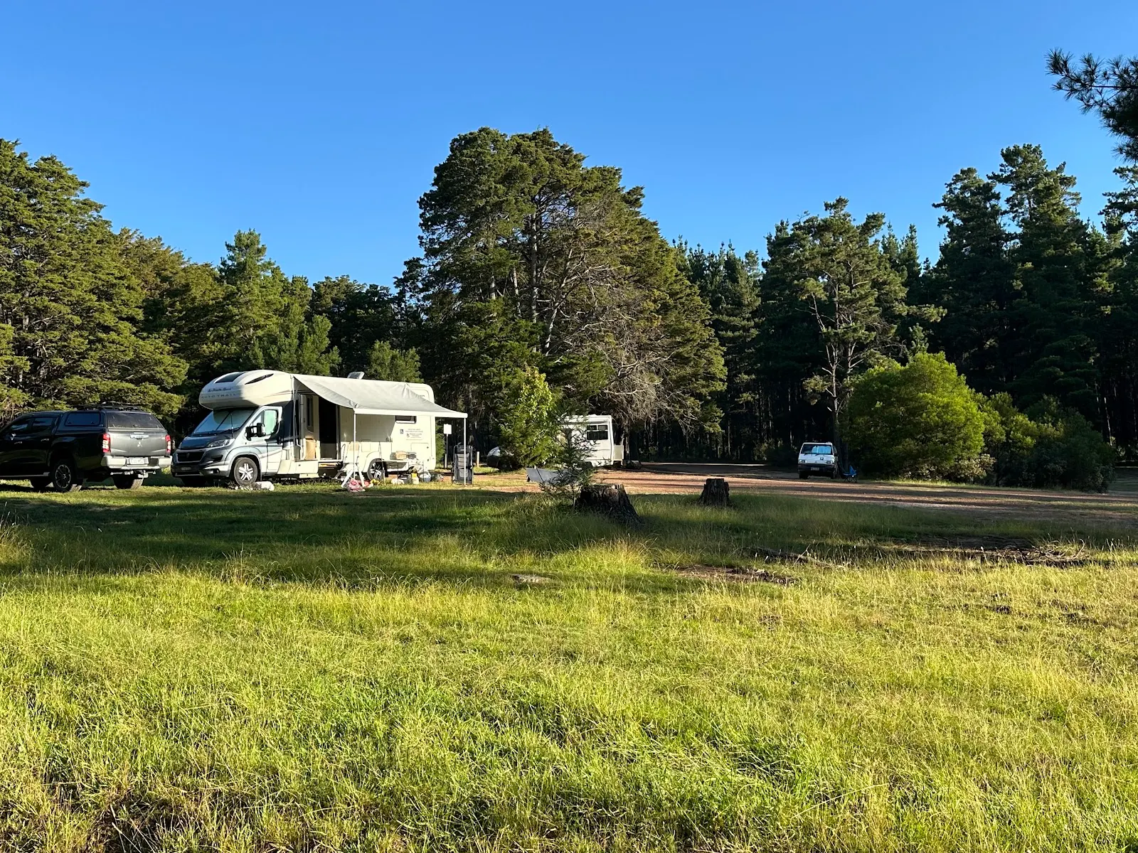 Daly's Clearing Camping Area