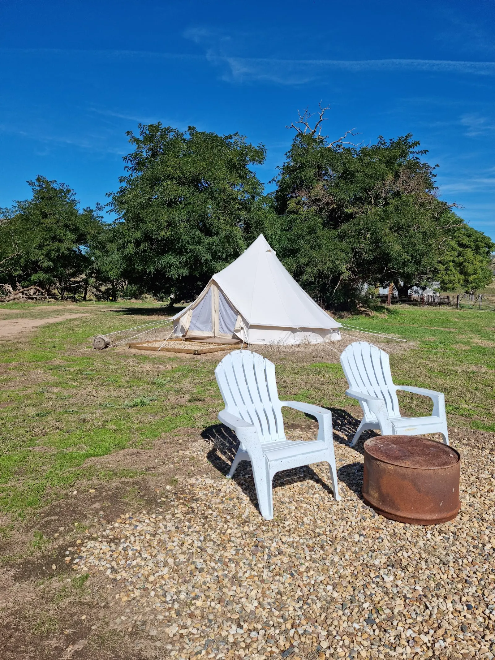 FigTree Retreat