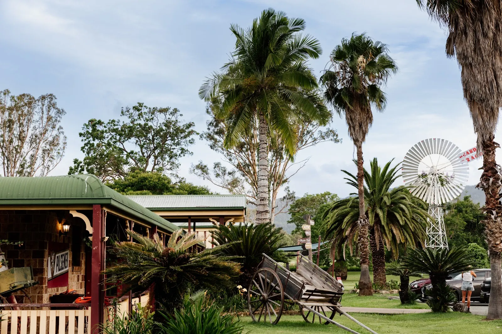 Bearded Dragon Hotel Tamborine