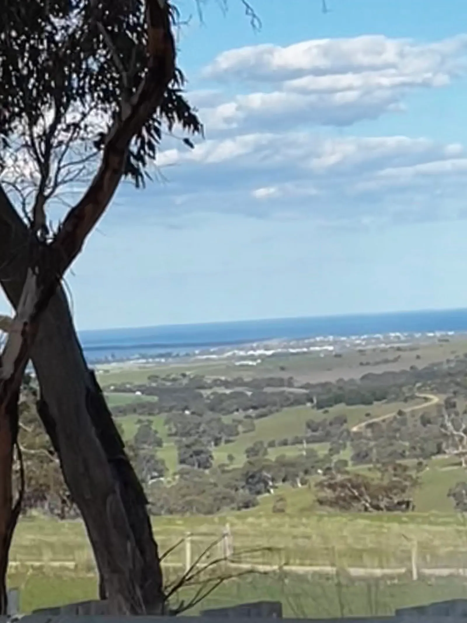 Gum Tree Lodge