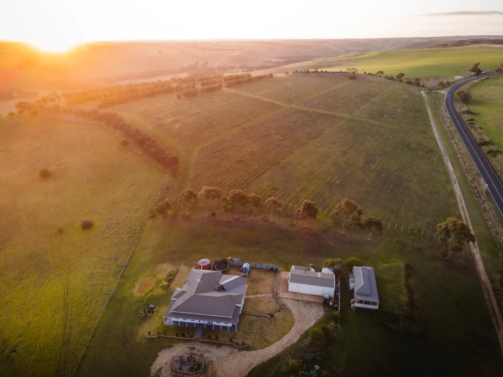 Harry Scotts Vineyard Farmhouse Stay