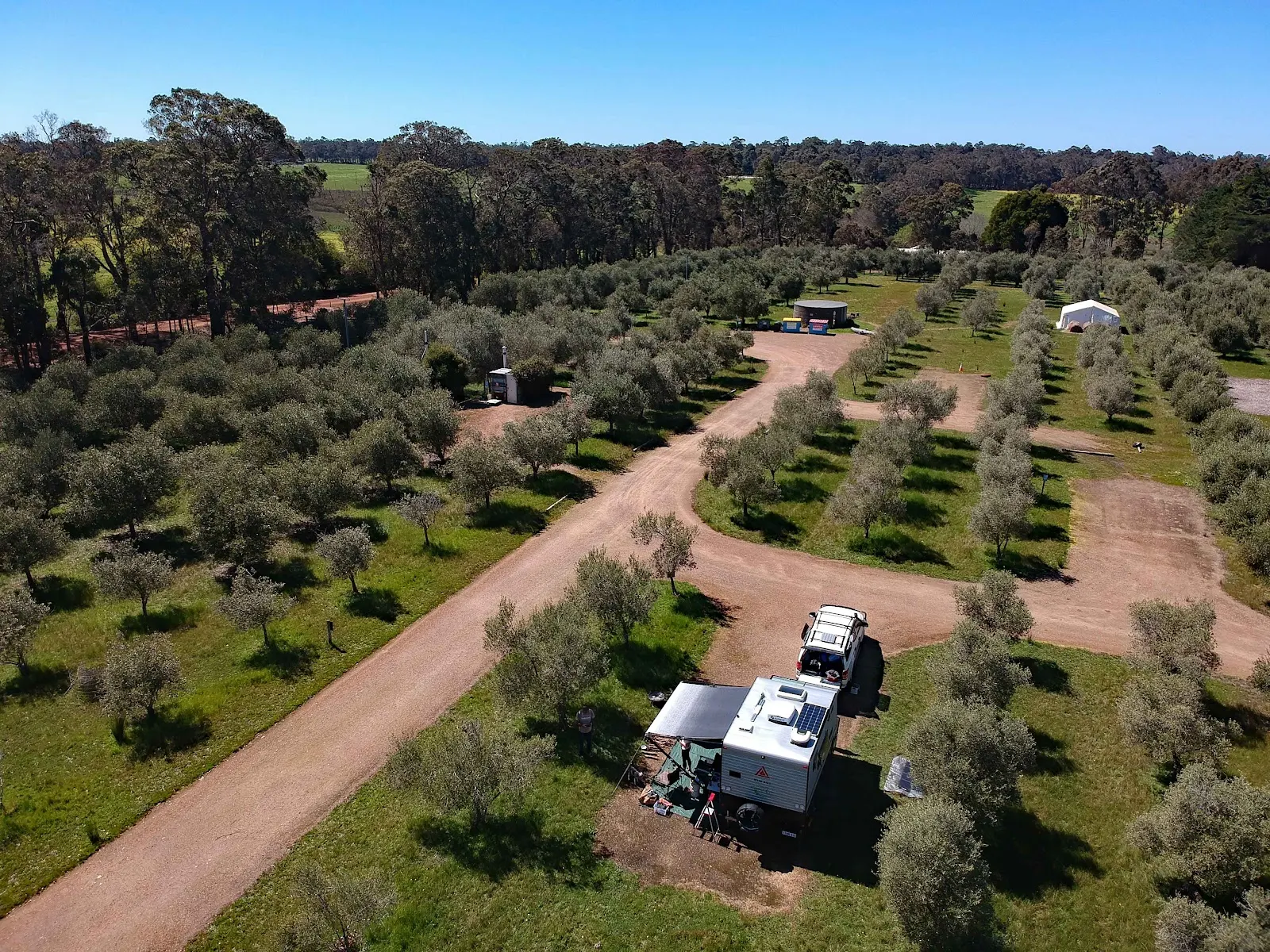 Olive Hill Farm