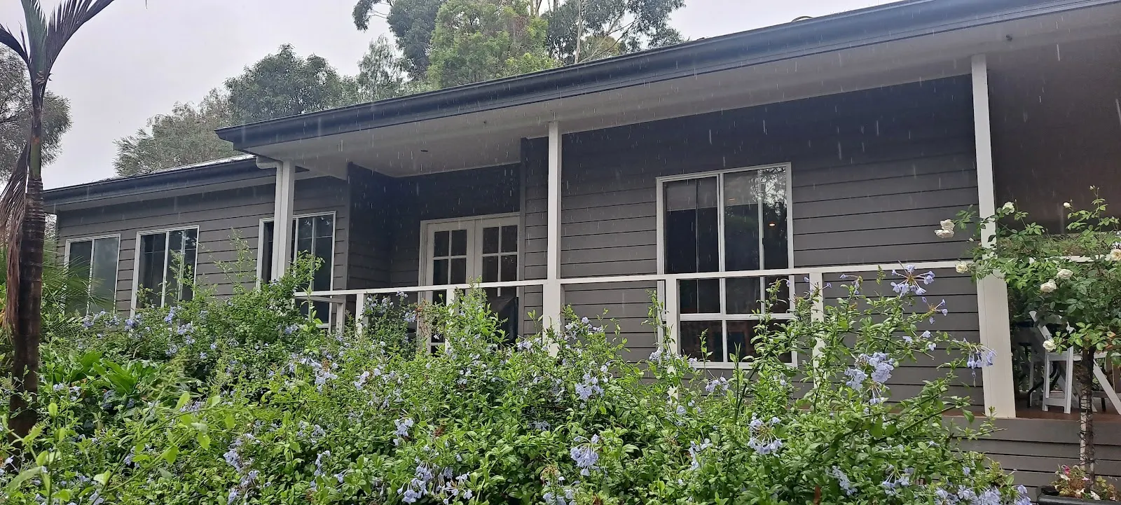 Rainforest Retreat Bed and Breakfast