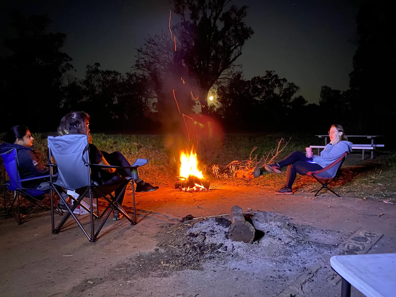 Terramungamine Reserve