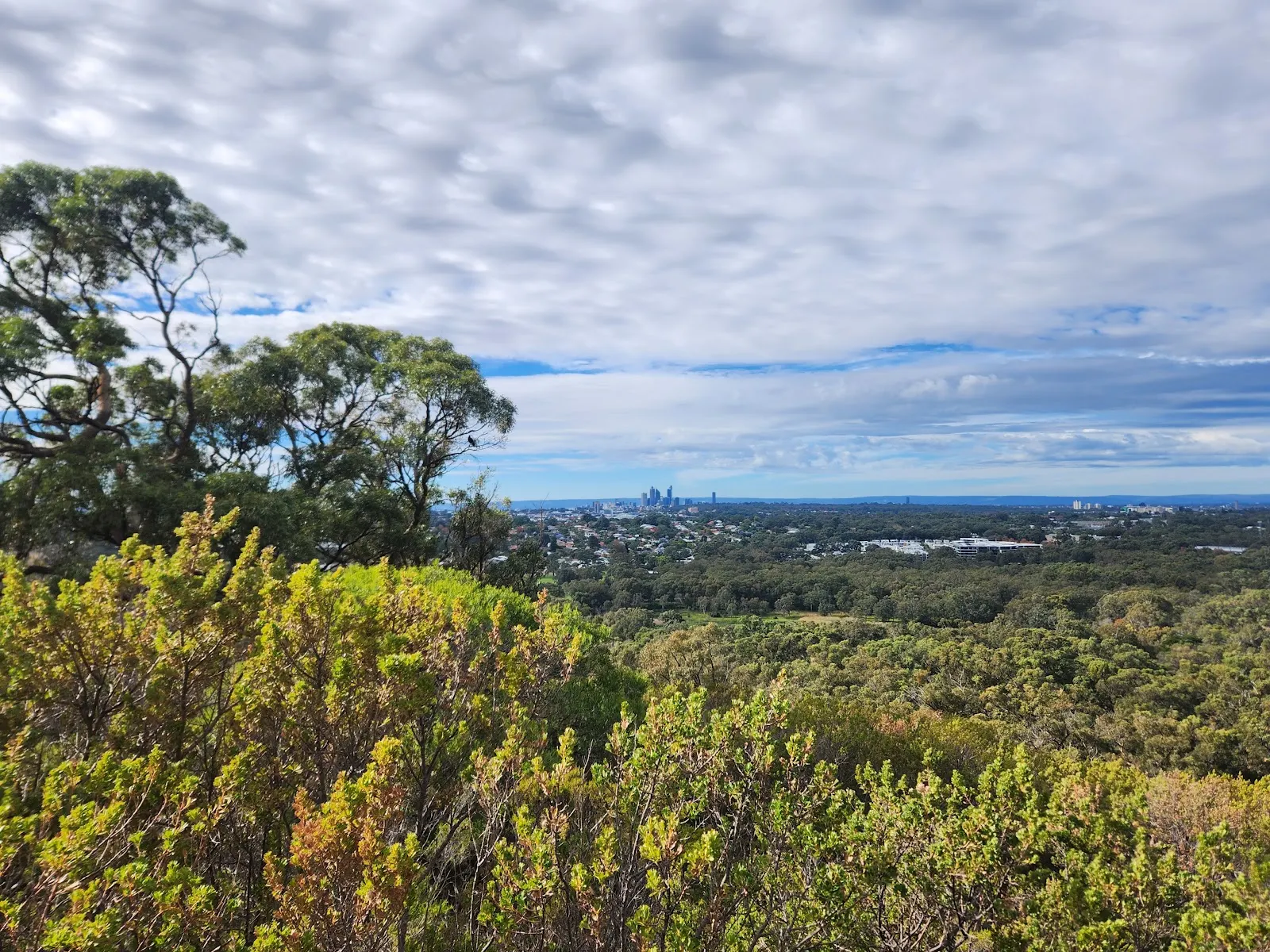 Reabold Hill Summit Boardwalk