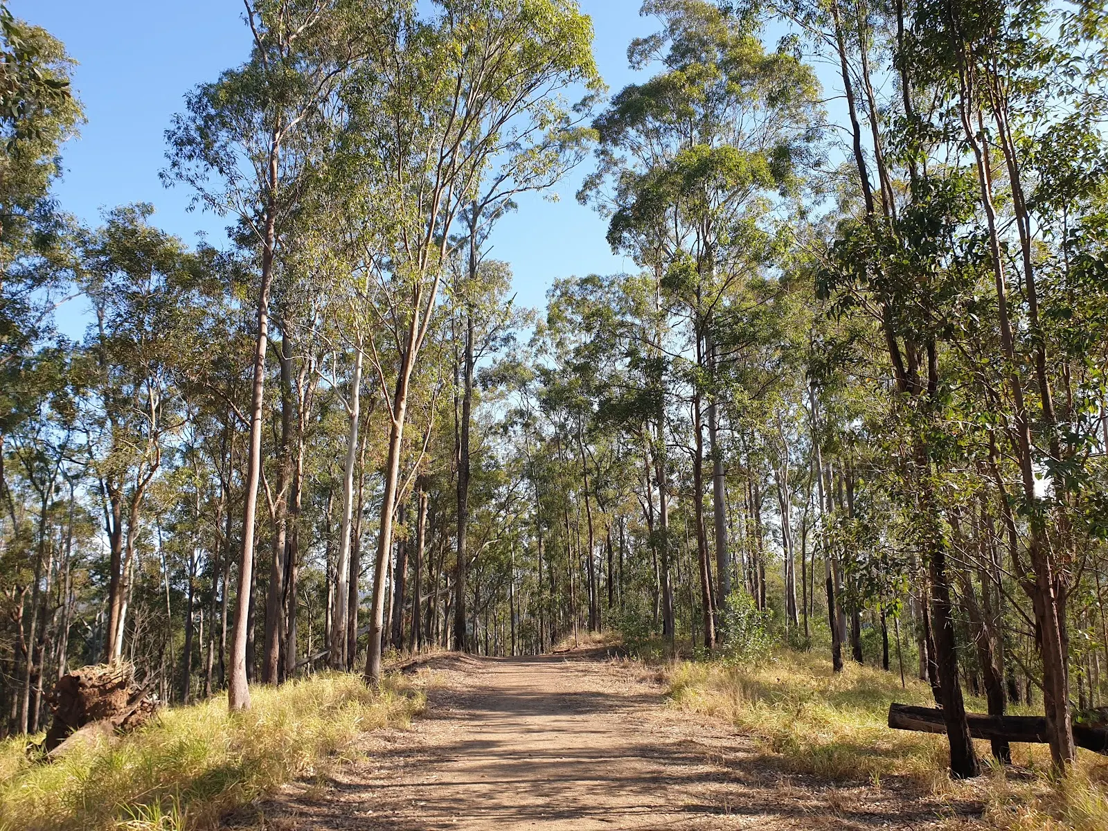 Samford Conservation Park