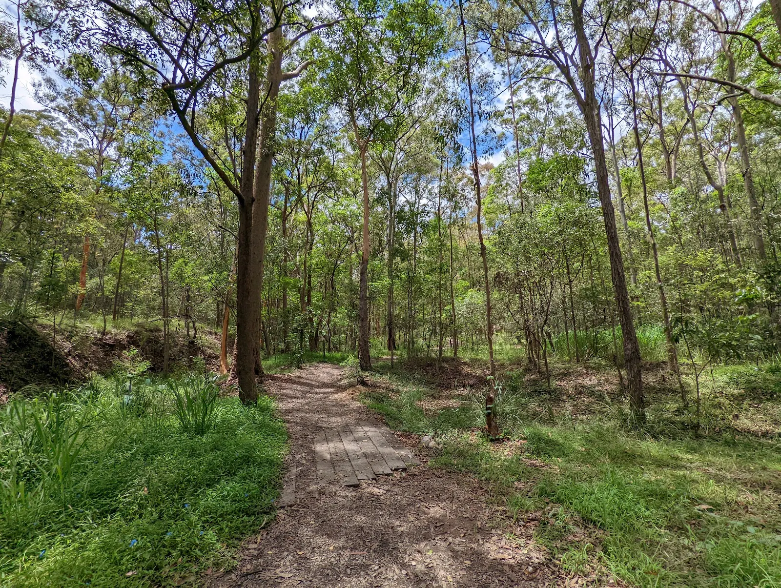 Whites Hill Reserve