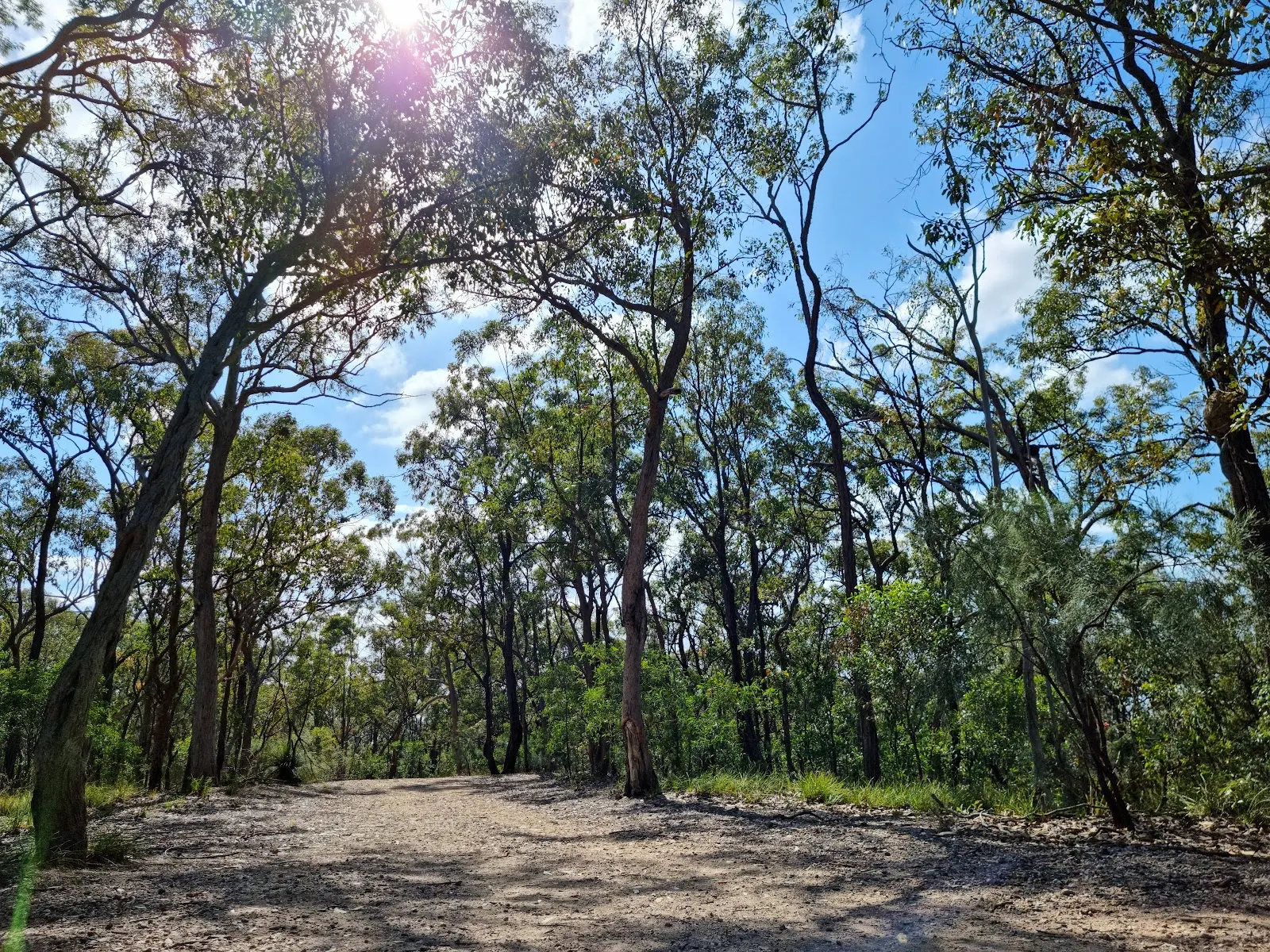 Seven Hills Circuit