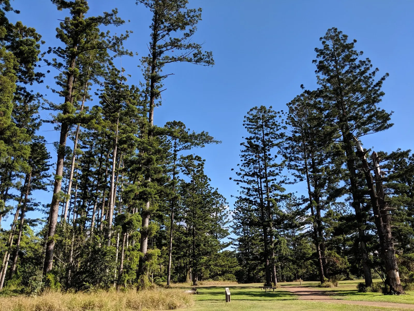 Oxley Creek Common Walk