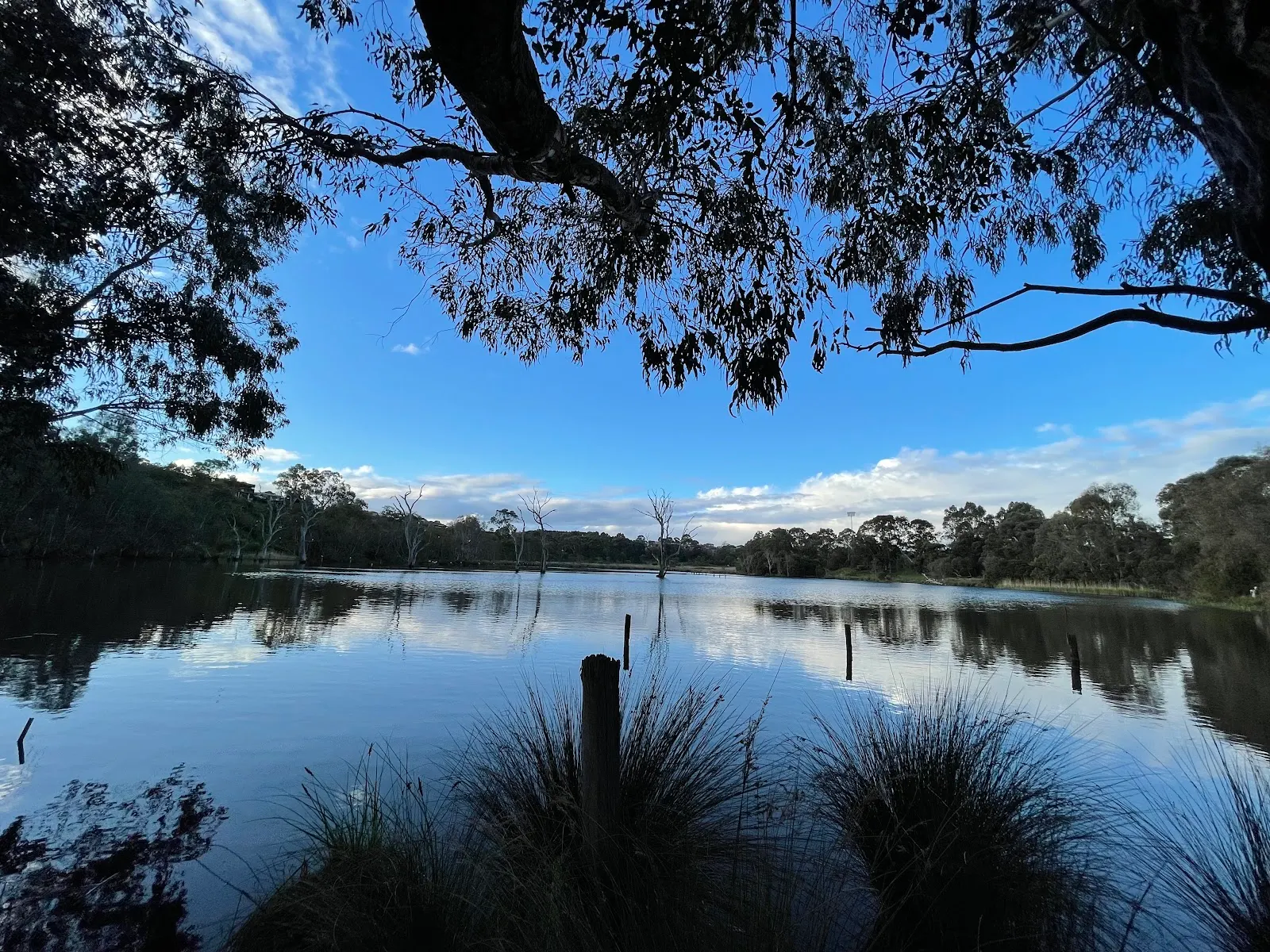 Banyule Flats Reserve Loop