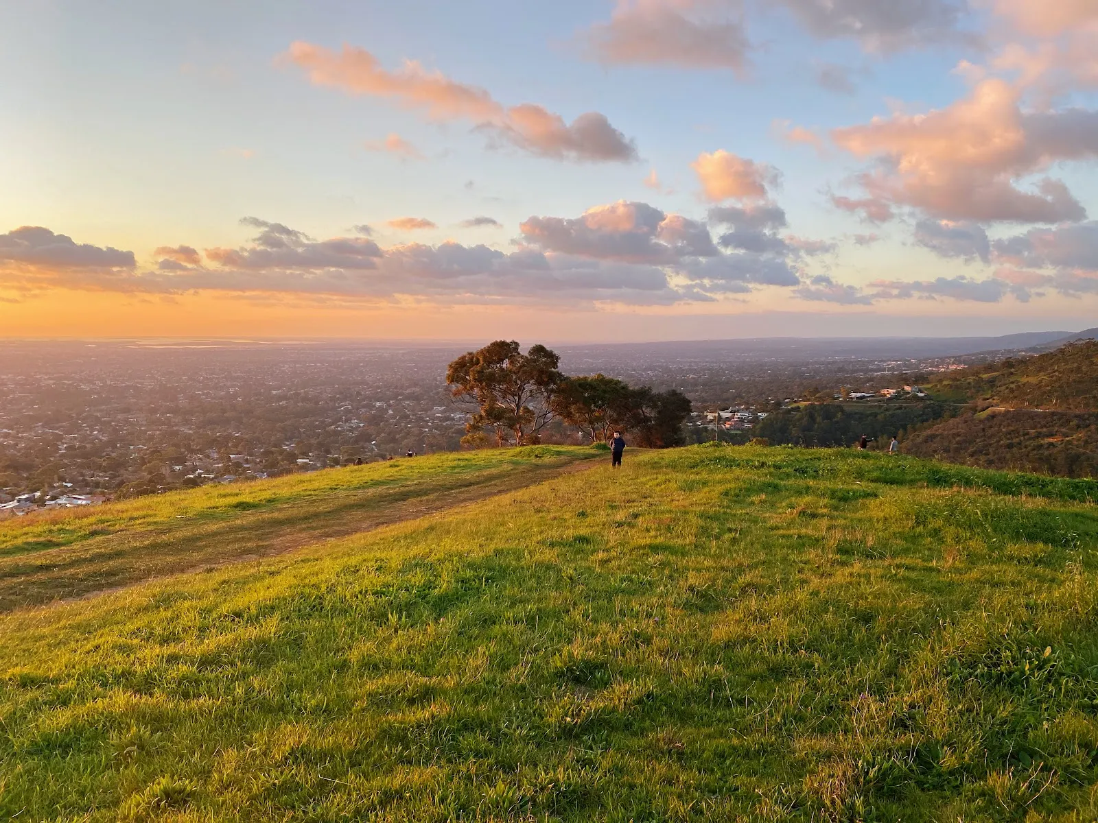 Mount Osmond Reserve Loop