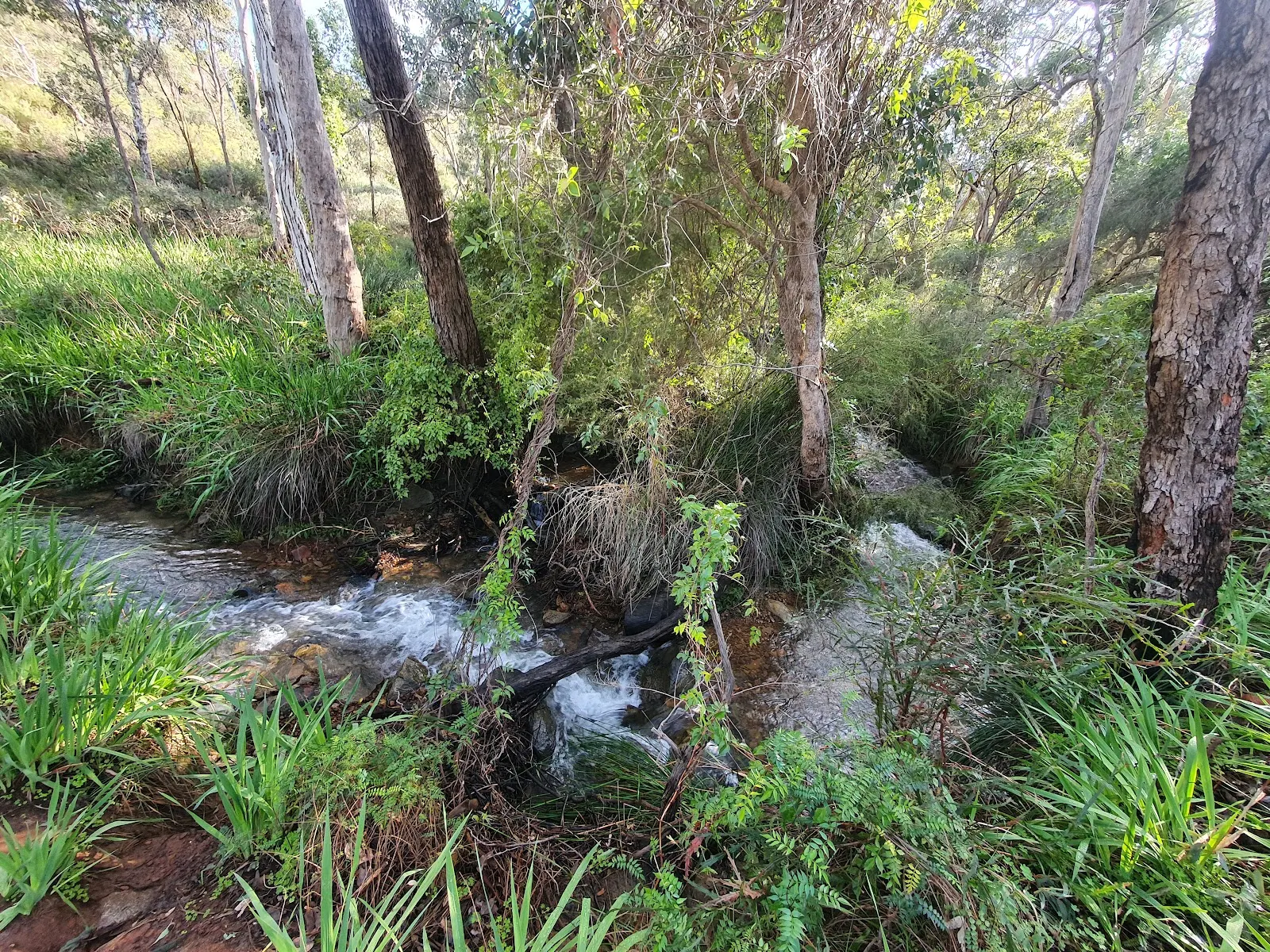Whistlepipe Gully Walk