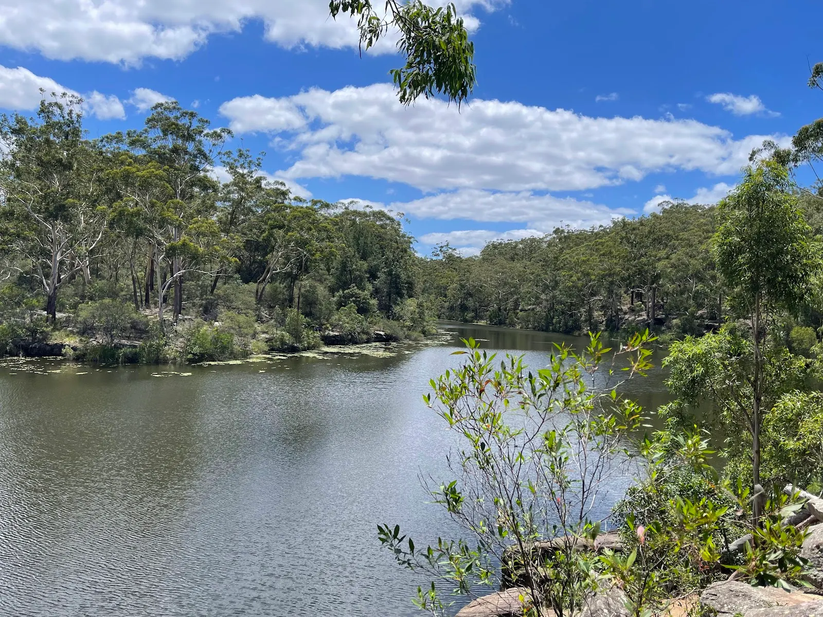 Lake Parramatta Reserve