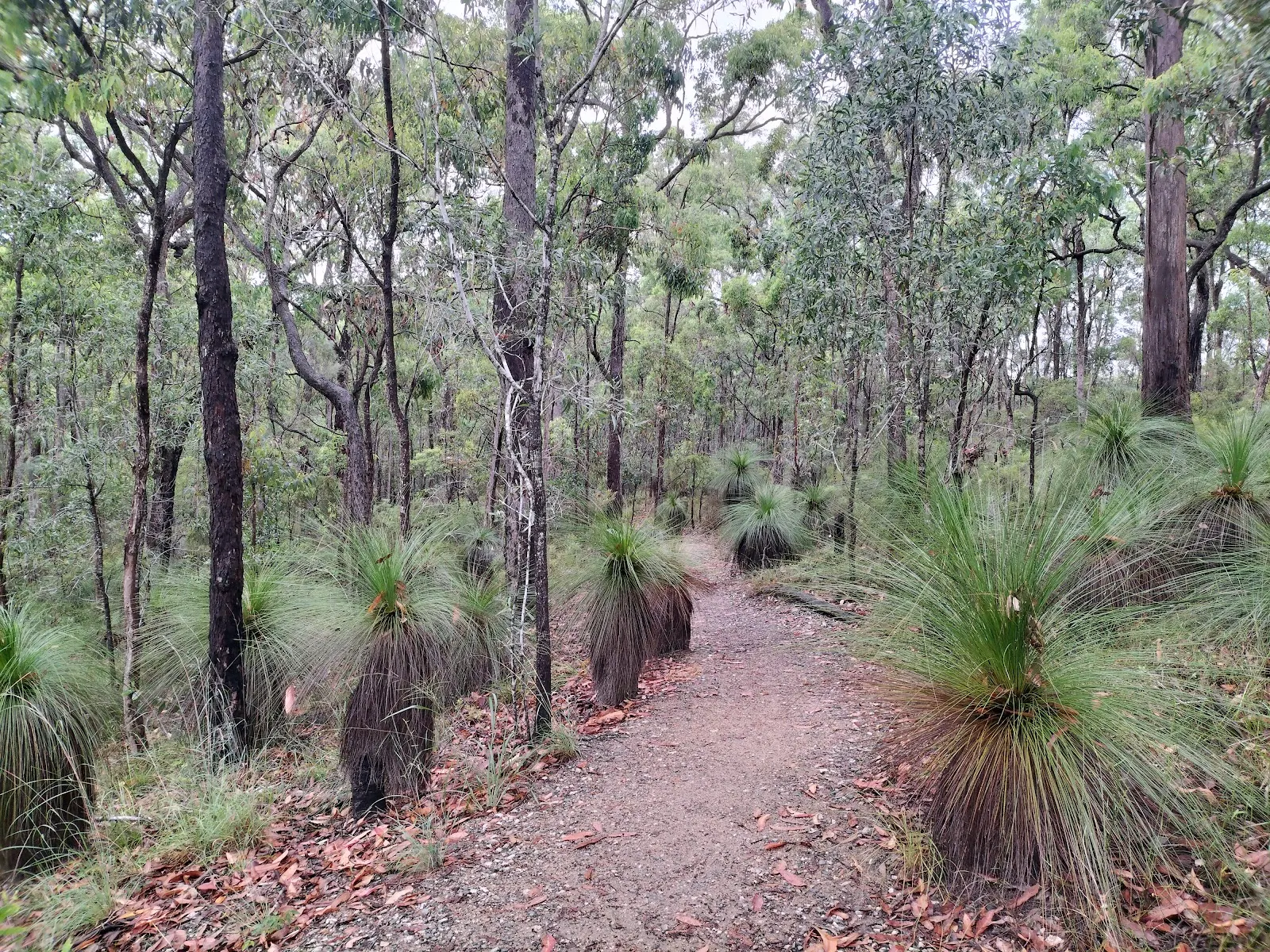 Chermside Hills Reserves