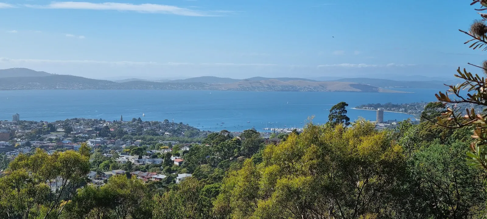 Knocklofty Summit Loop
