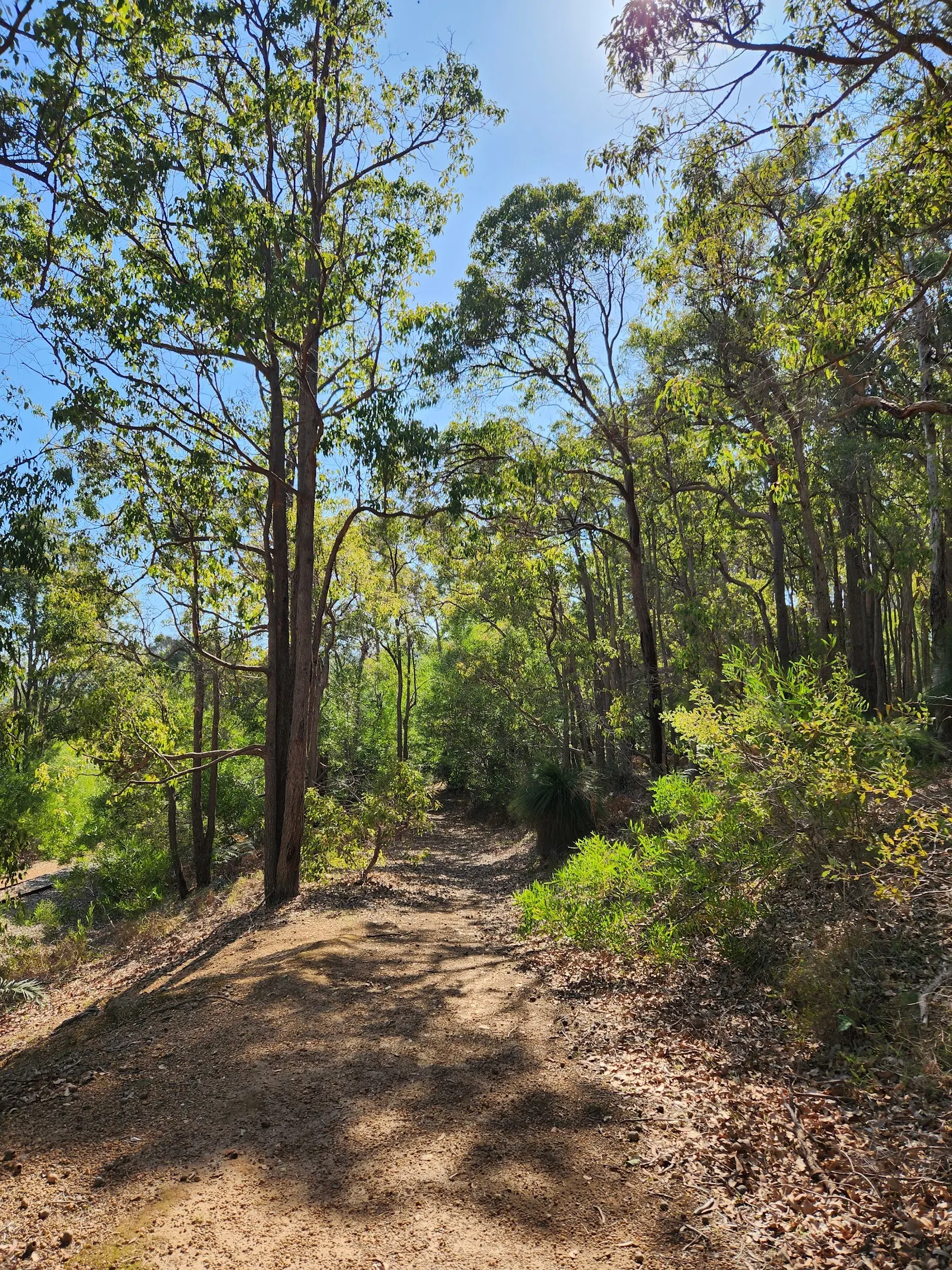 Jarrahdale Railway Trail