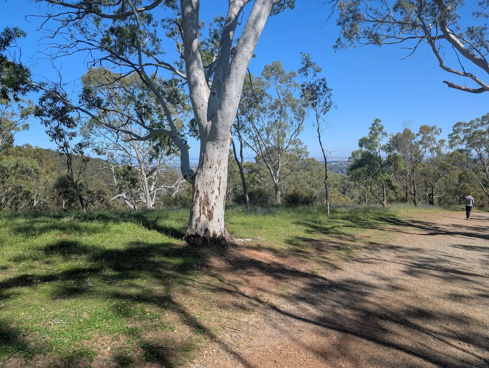 Yellow Track Loop