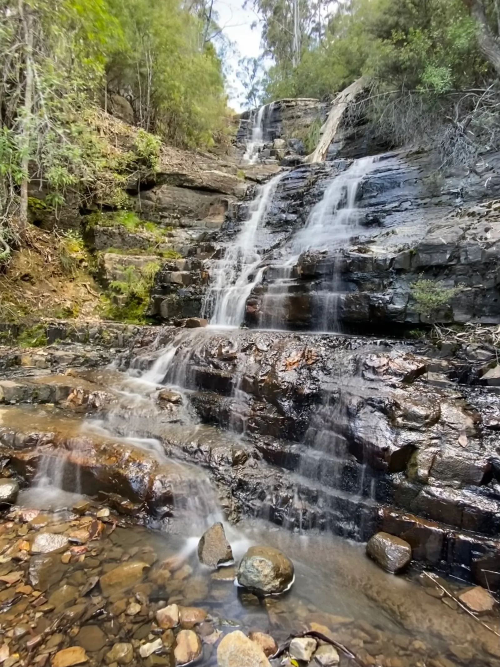New Town Falls Track