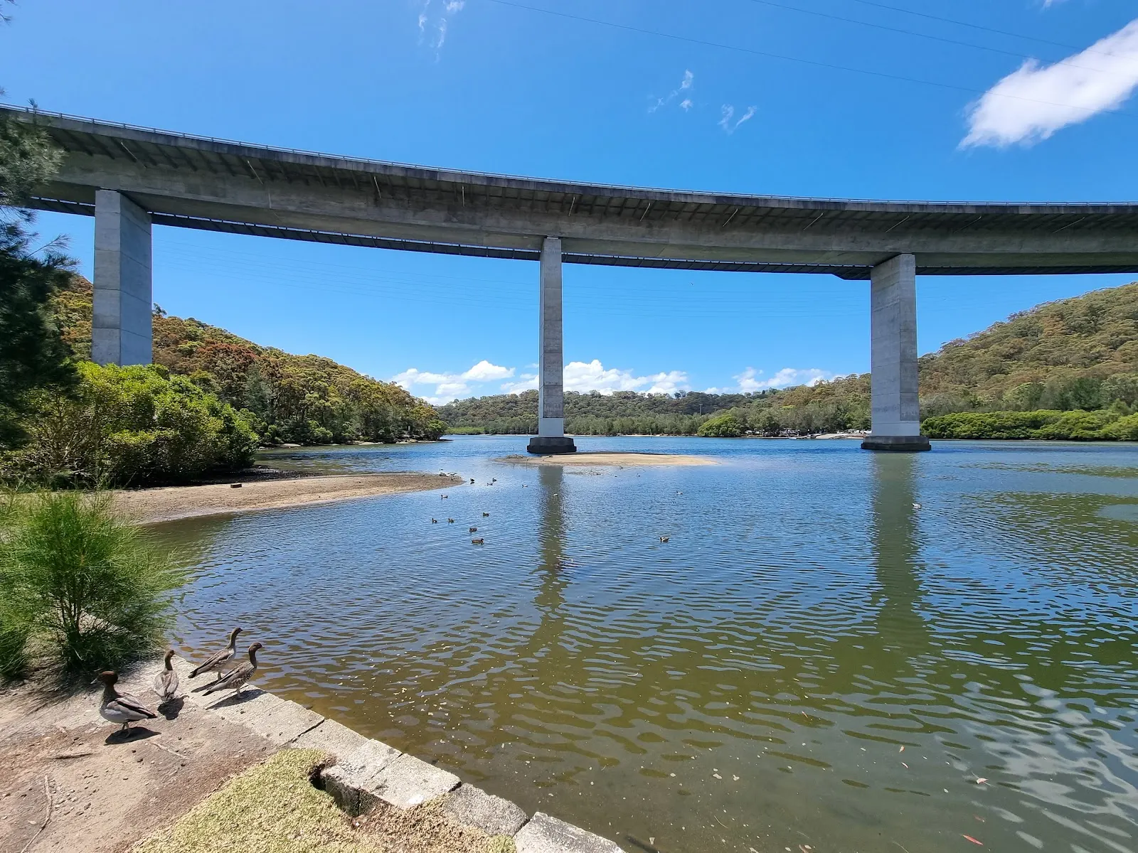 Woronora River Bridge Loop
