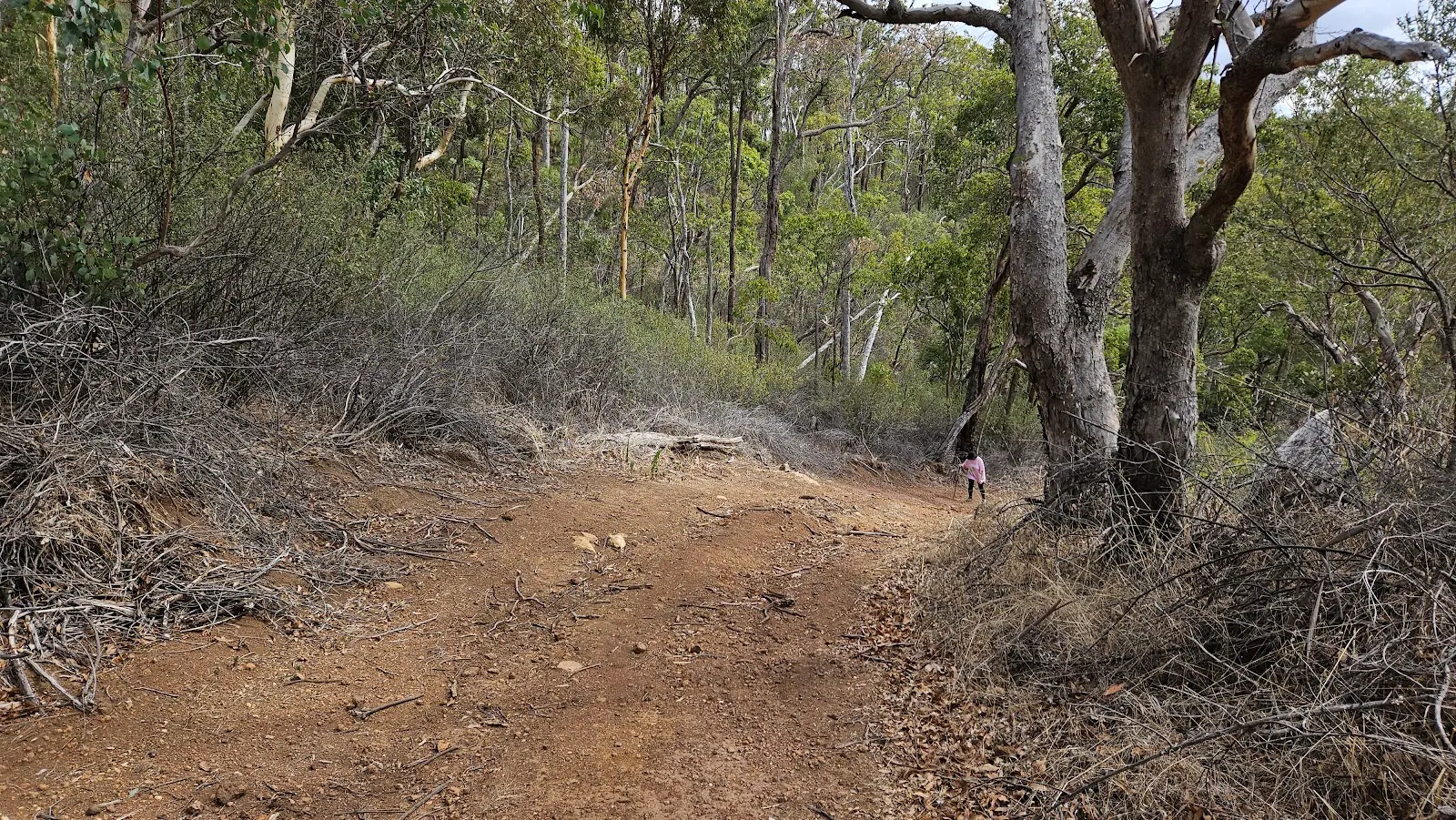 Churchman's Bushland Circuit