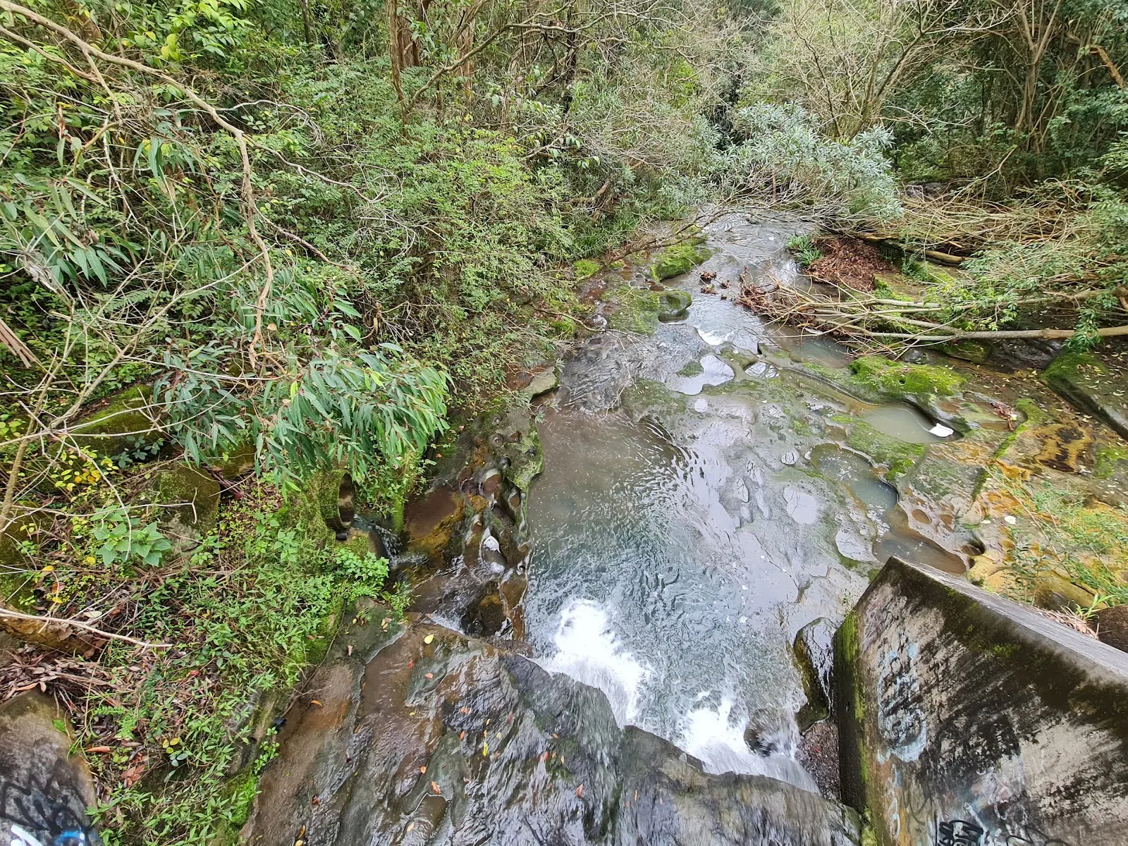 Lovers Jump Creek and Samuel King Loop
