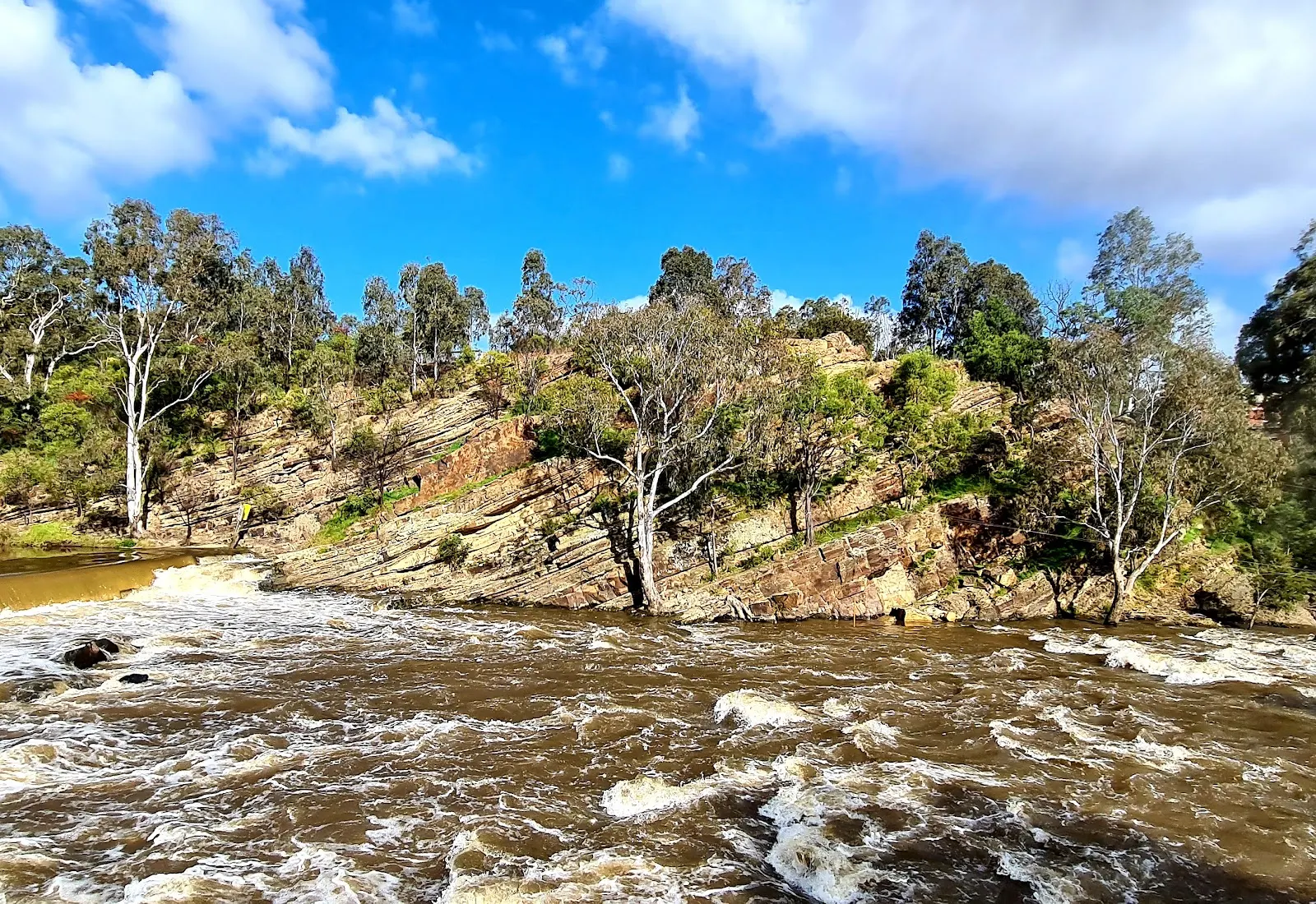 Yarra Bend Park