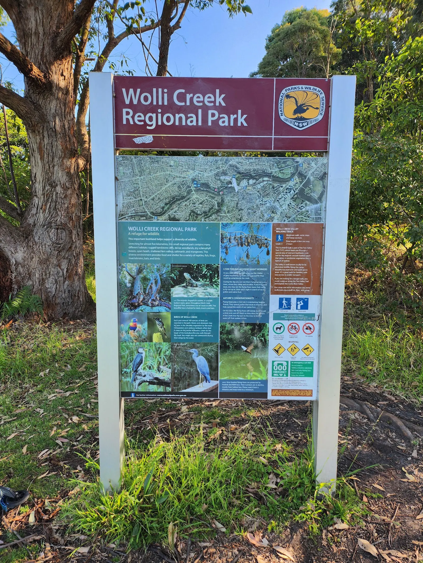 Wolli Creek Walking Track