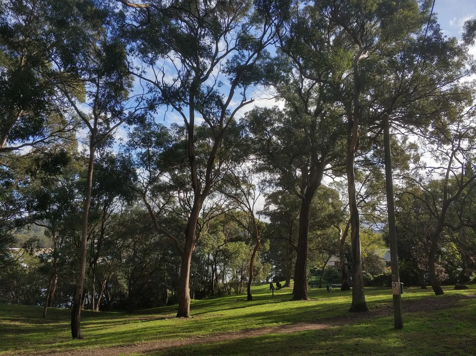 Dearin Reserve Dog Area