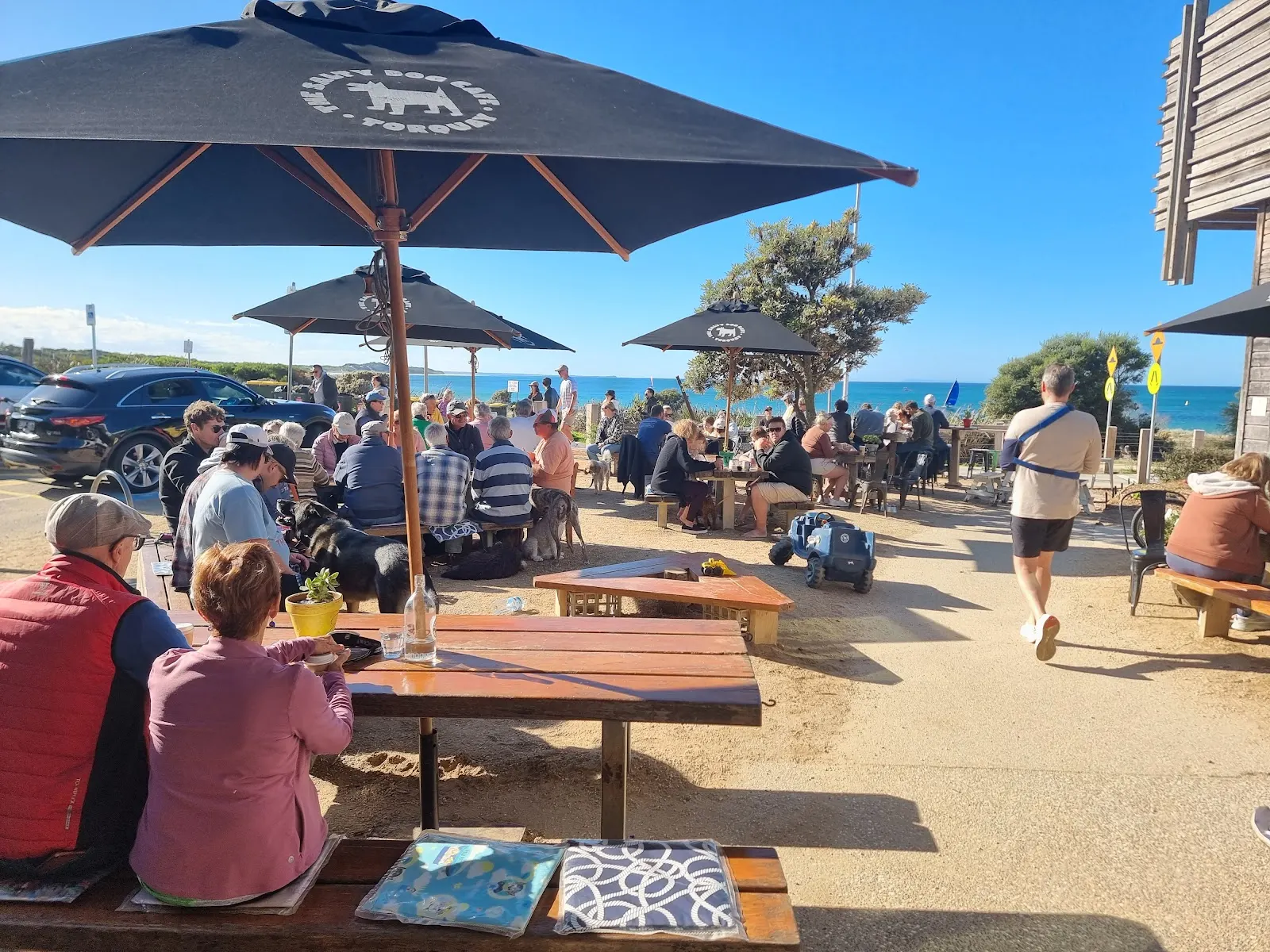 The Salty Dog Cafe