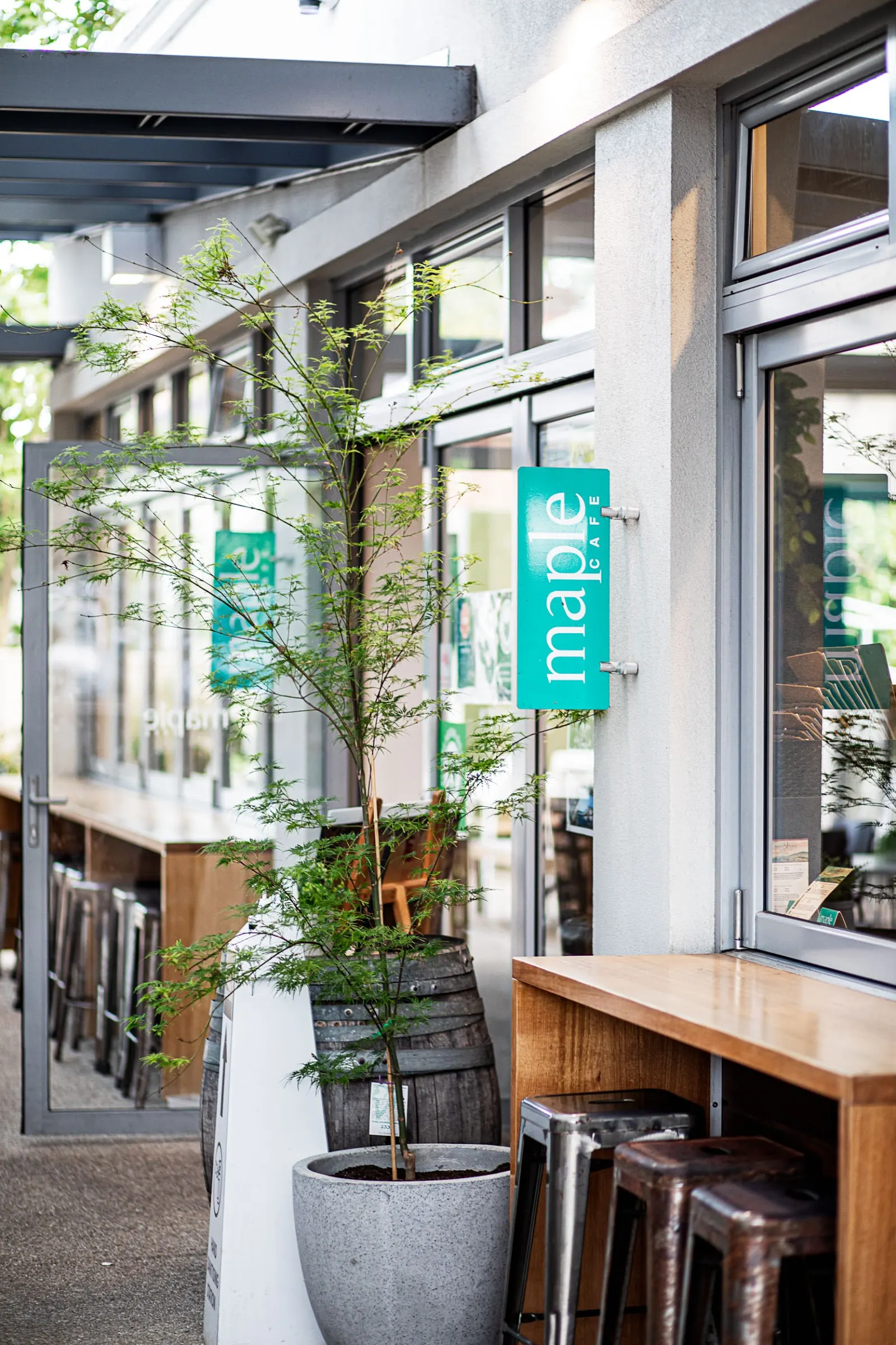 Maple Cafe