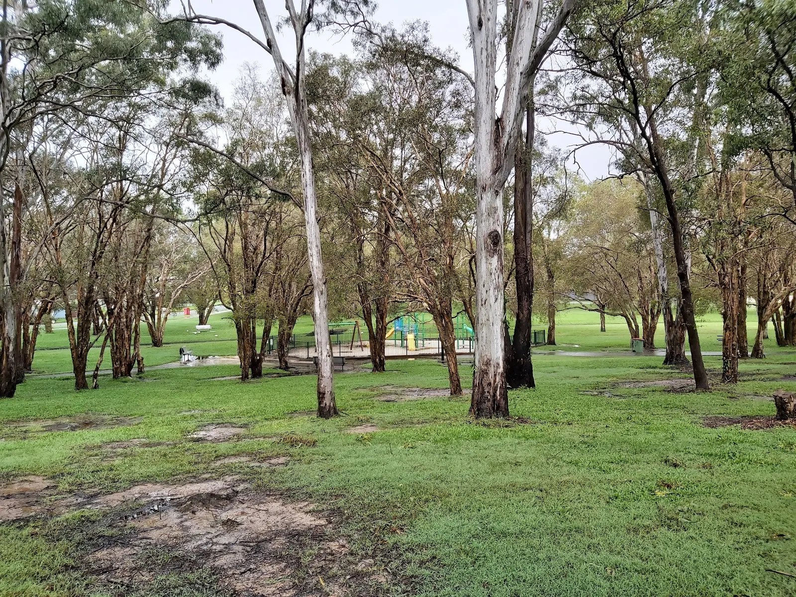 Ward Park