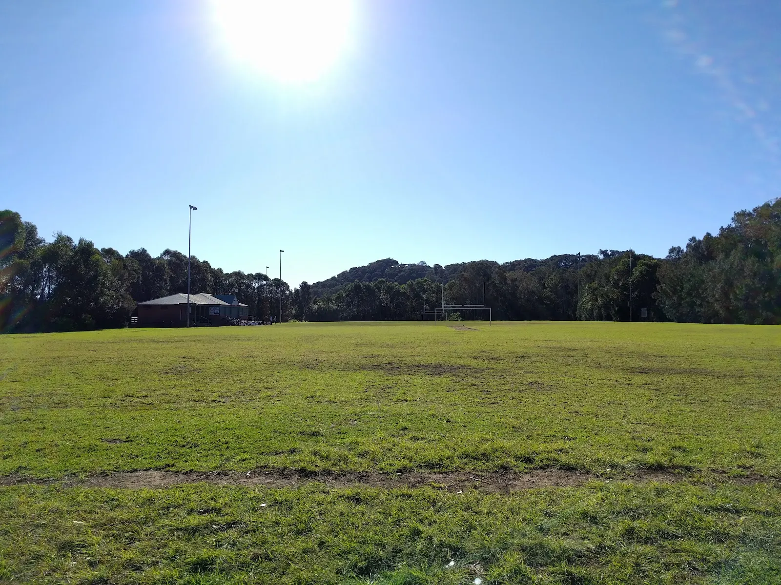 Hitchcock Park Dog Off-Leash Area