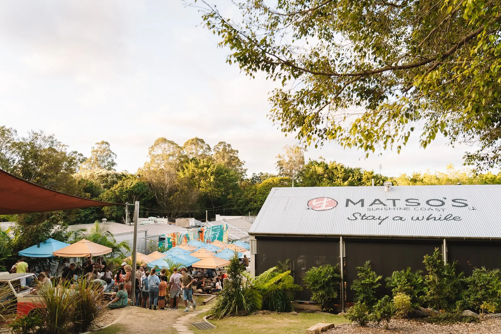 Matso's Sunshine Coast