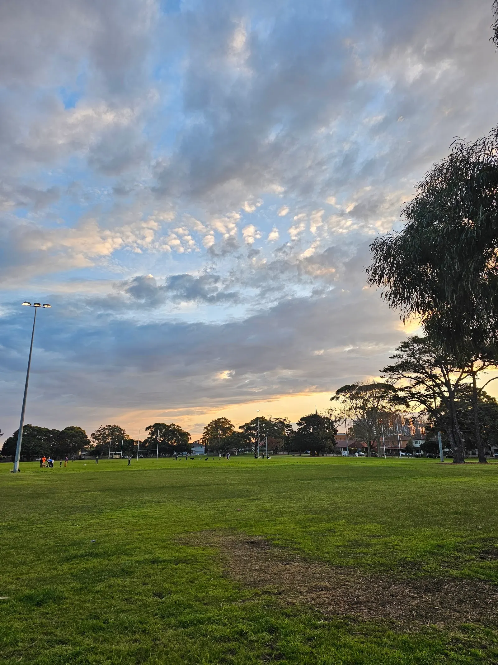 Nagle Park
