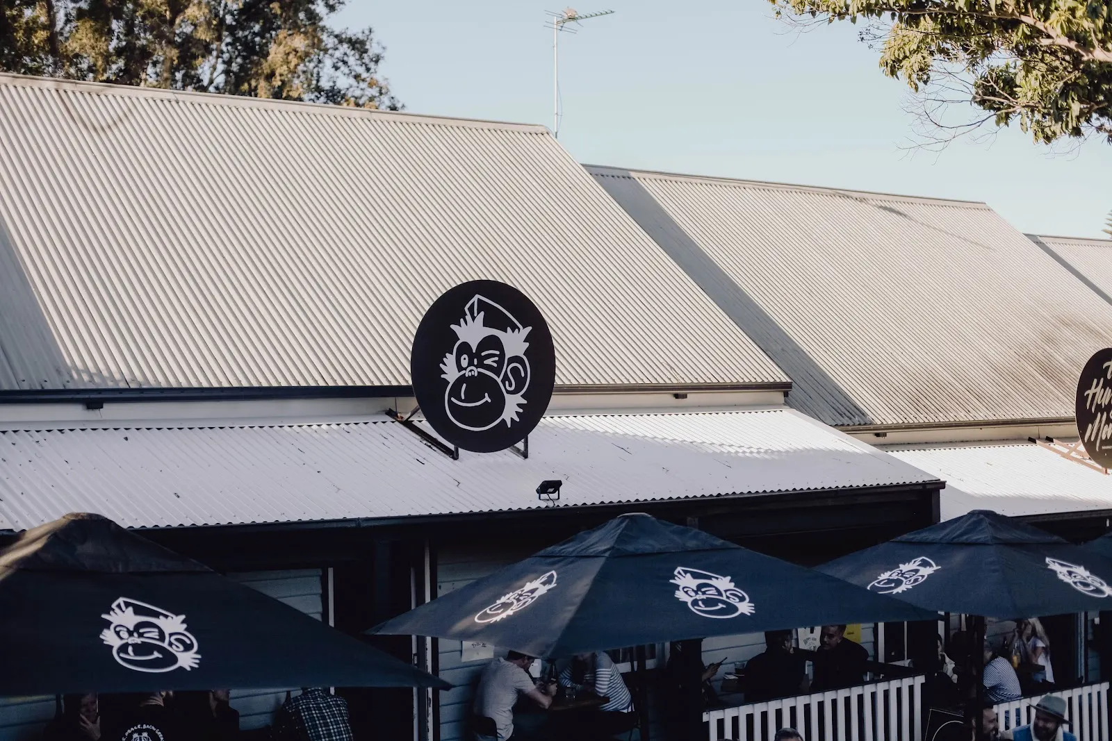 The Hungry Monkey Kiama