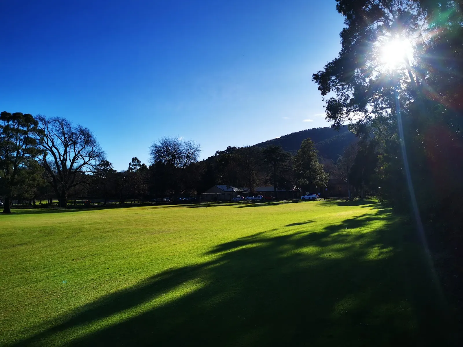 Kings Park