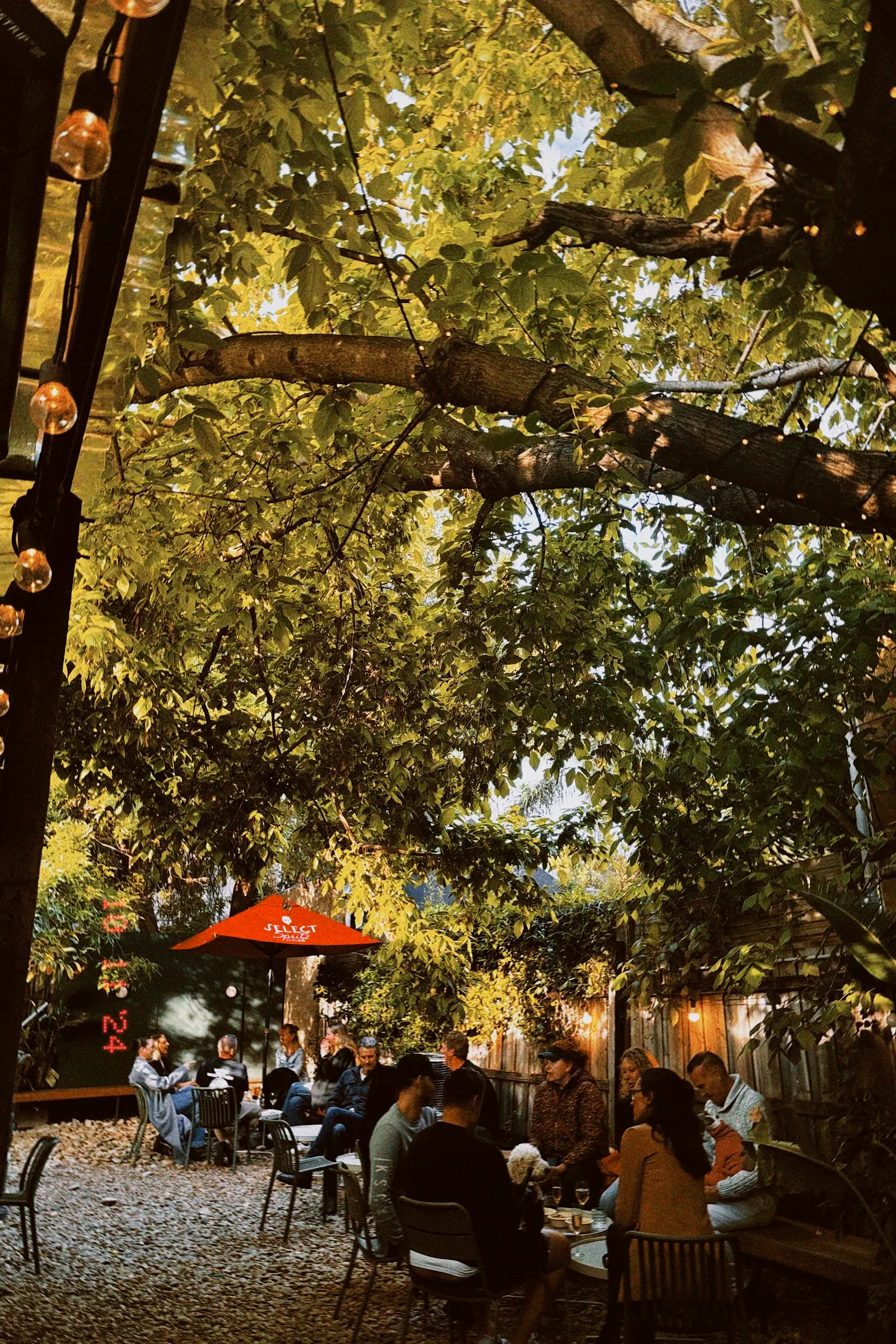 Rosie's Bar