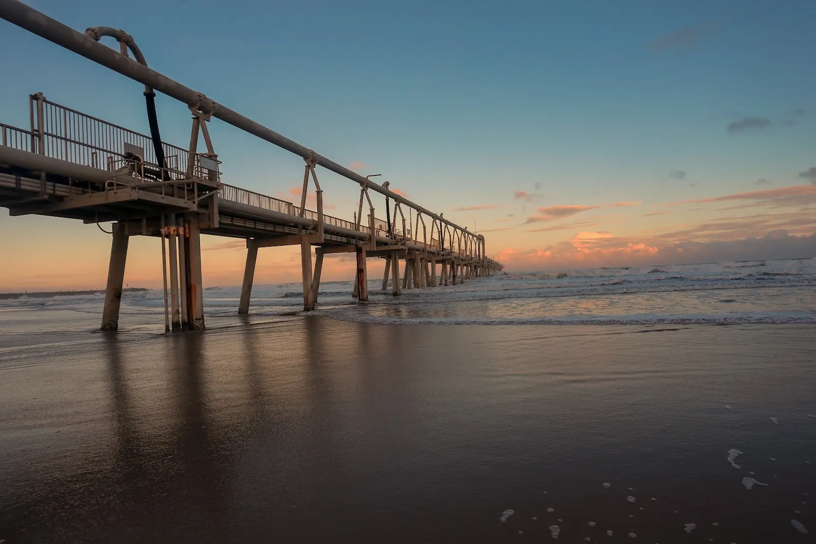 The Spit Dog Beach, QLD