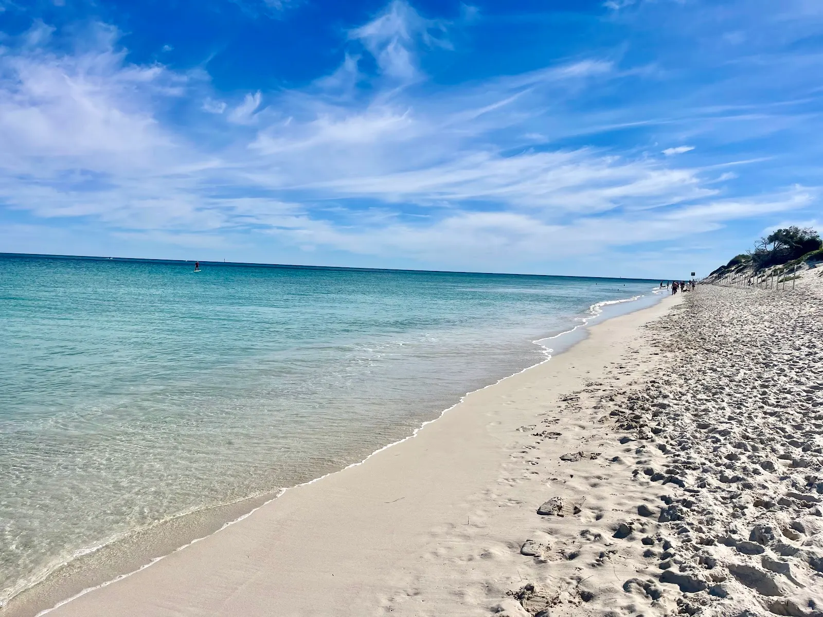 Hillarys Dog Beach dog-friendly beach