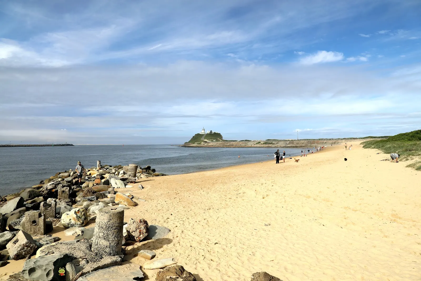Horseshoe Beach dog-friendly beach