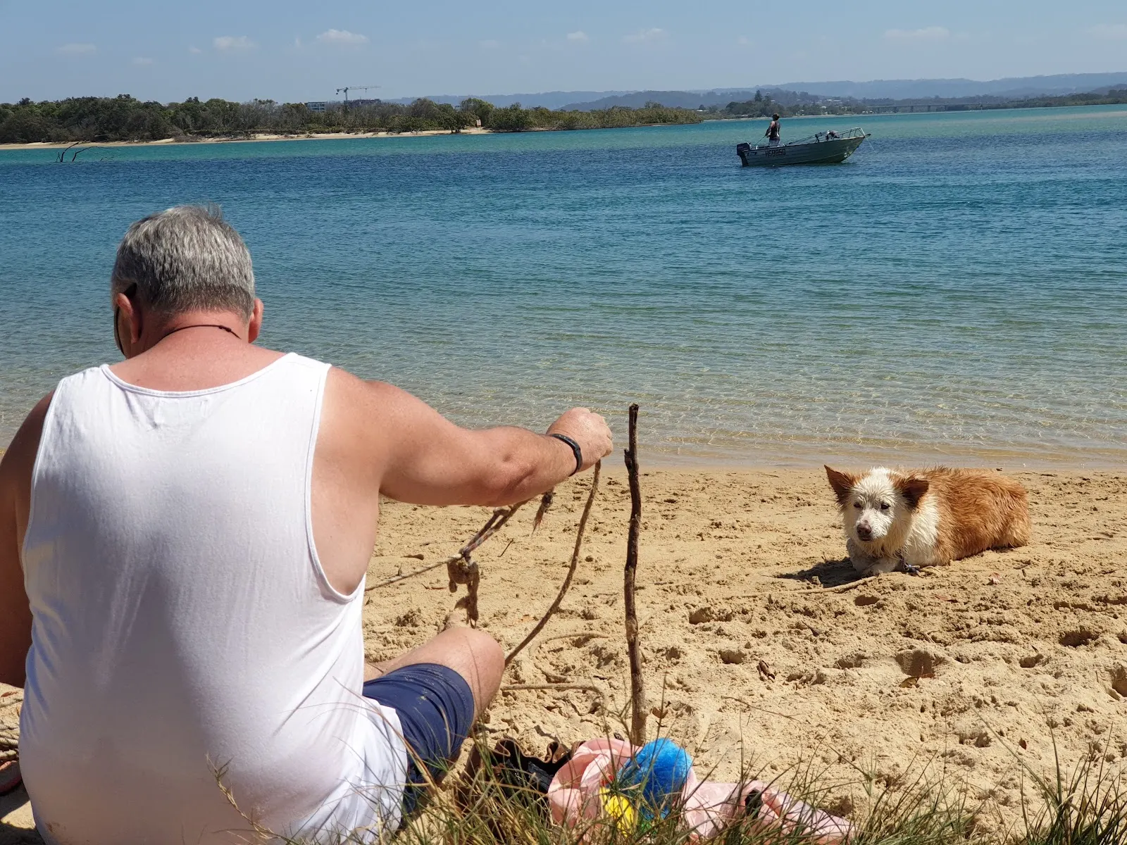 Dog Beach, Mudjimba, Twin Waters