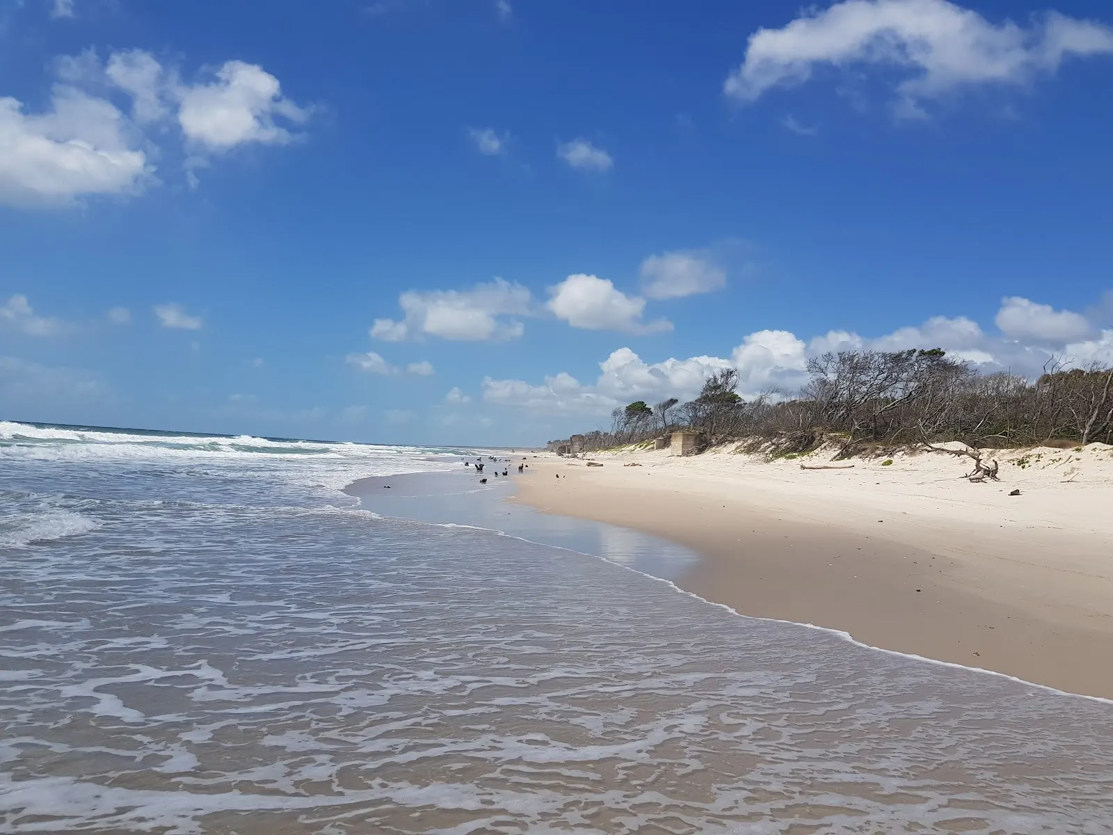 Dog Beach Part Of Woorim Beach, Woorim
