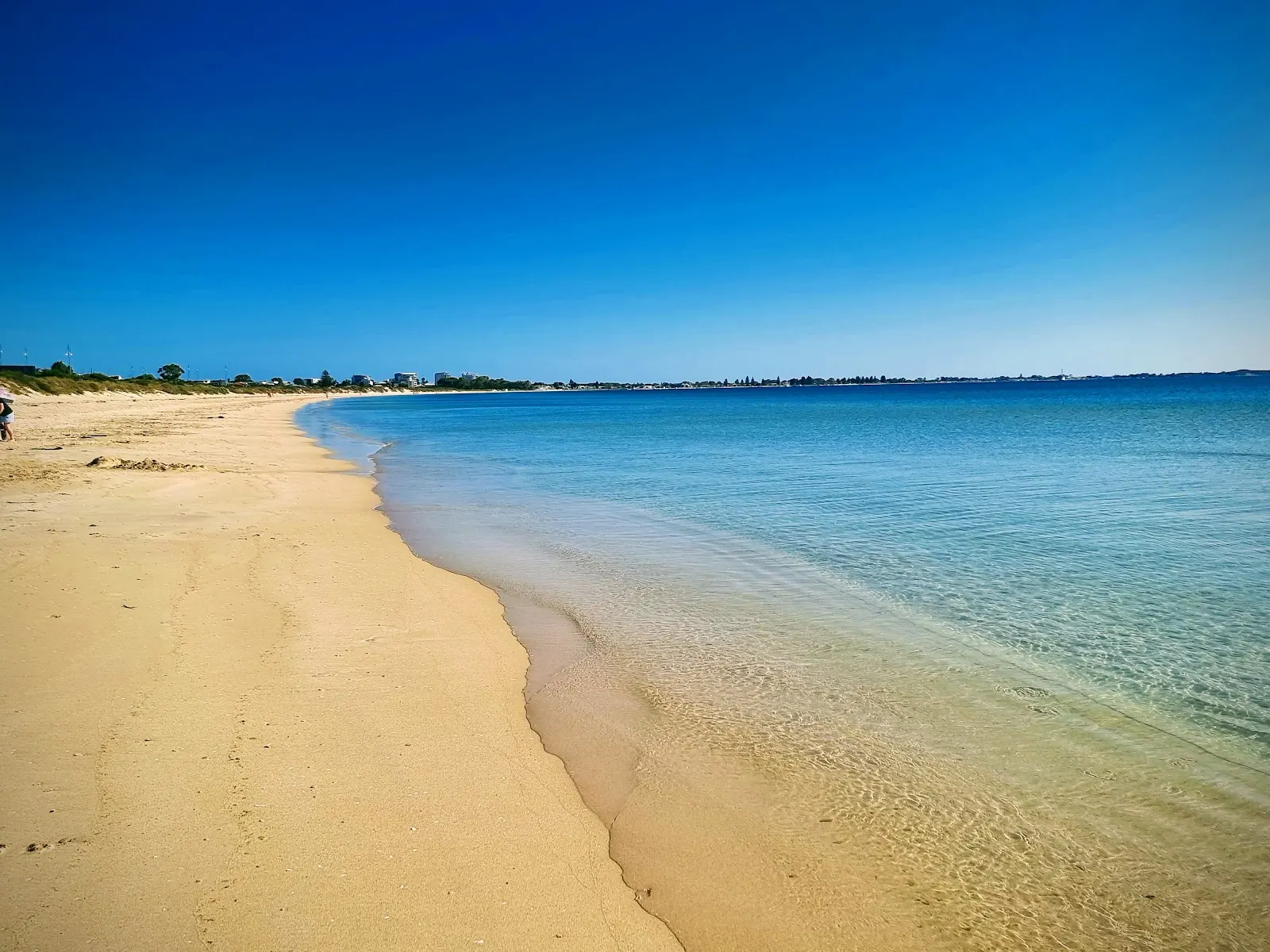 Rockingham Dog Beach dog-friendly beach