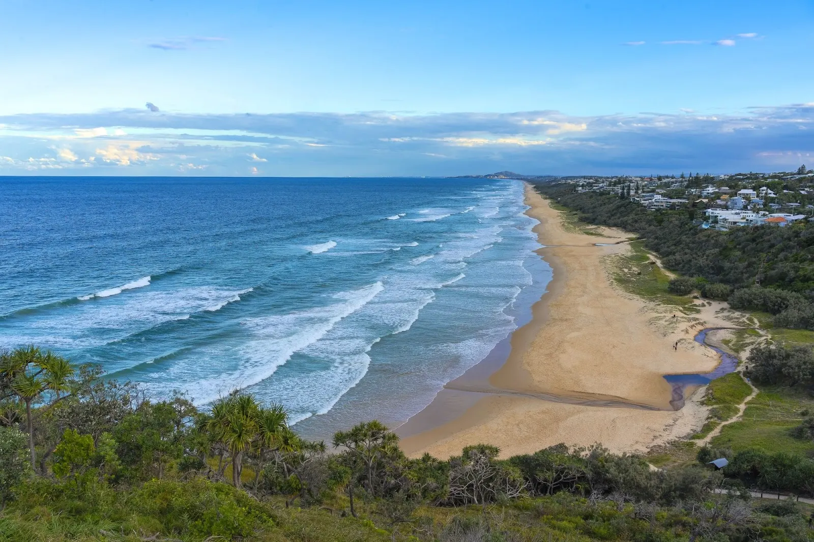 Sunshine Beach Dog Off Leash Area - Beach Access #29 and North dog-friendly beach