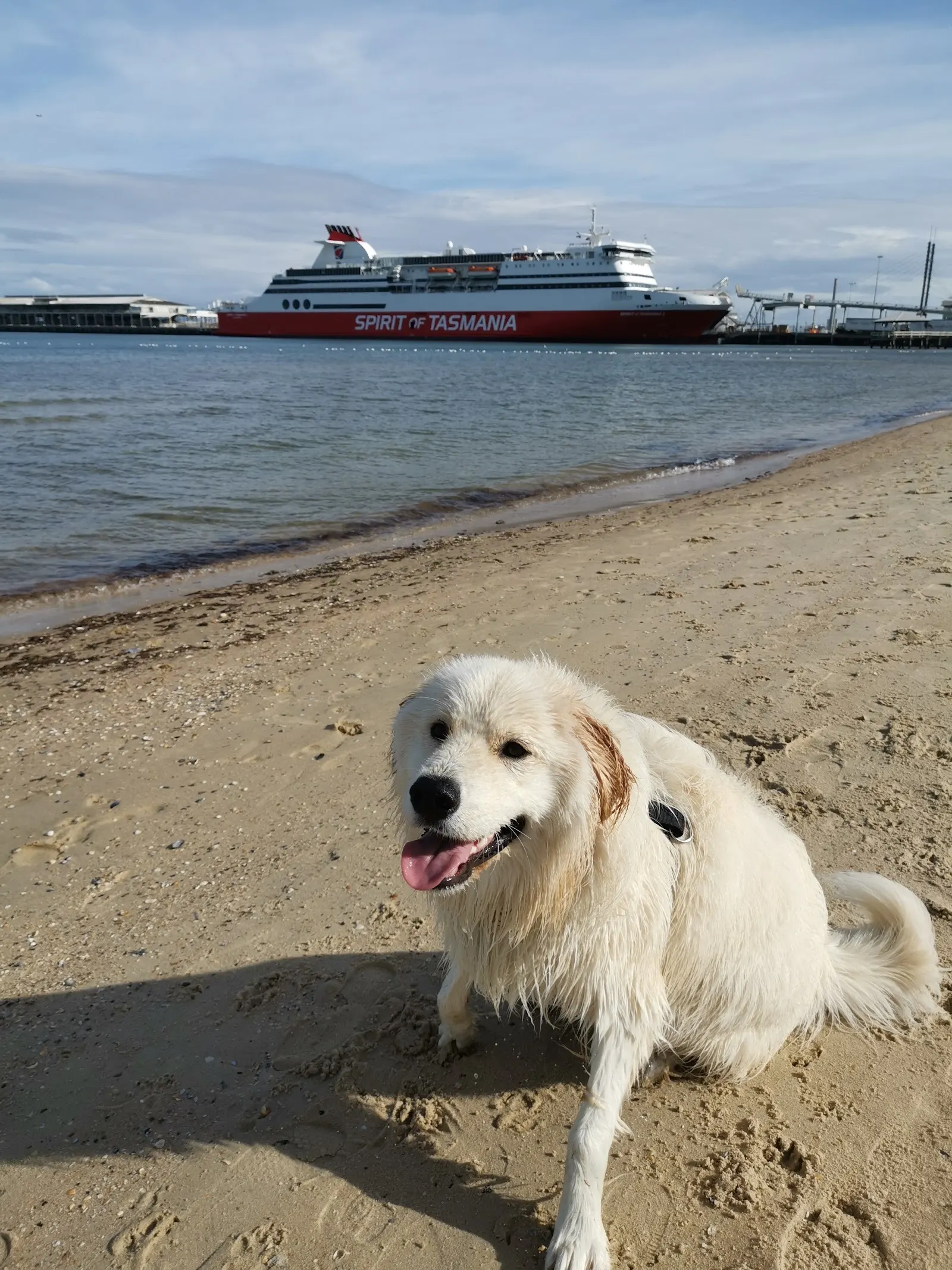 Port Melbourne Dog Beach, Port Melbourne