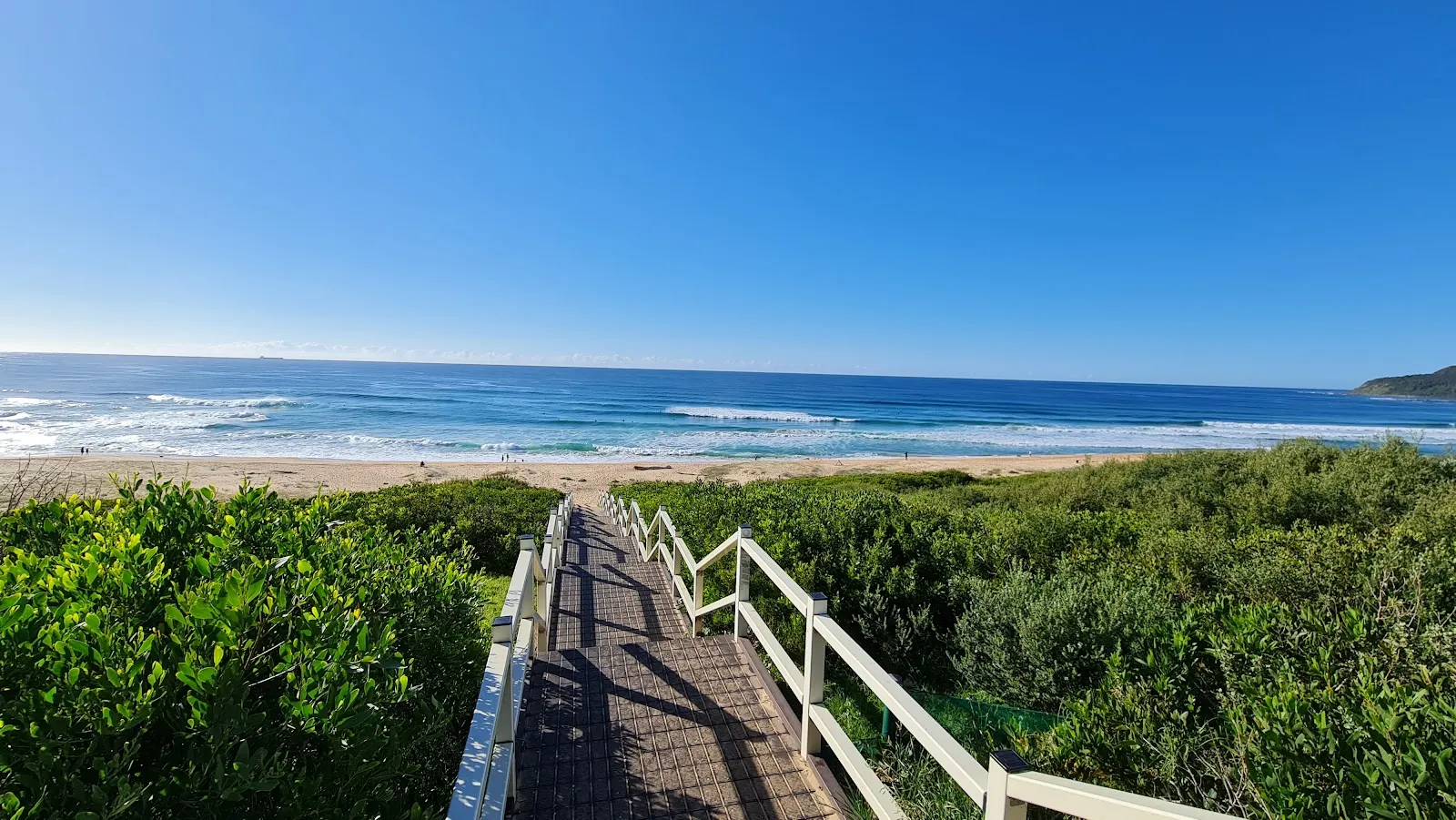 North Shelly Beach Dog Beach dog-friendly beach