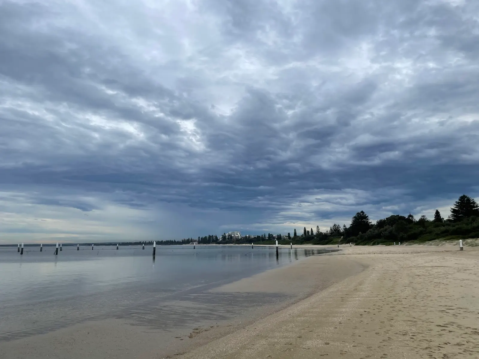 Kyeemagh Off Leash Dog Area dog-friendly beach