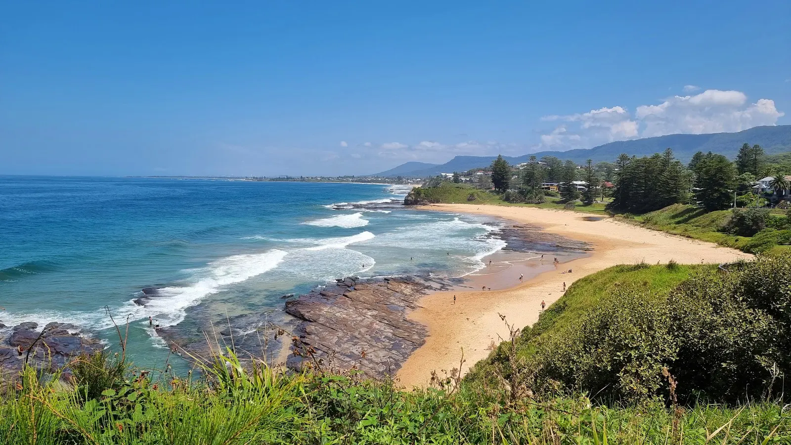 Little Austinmer Beach dog-friendly beach