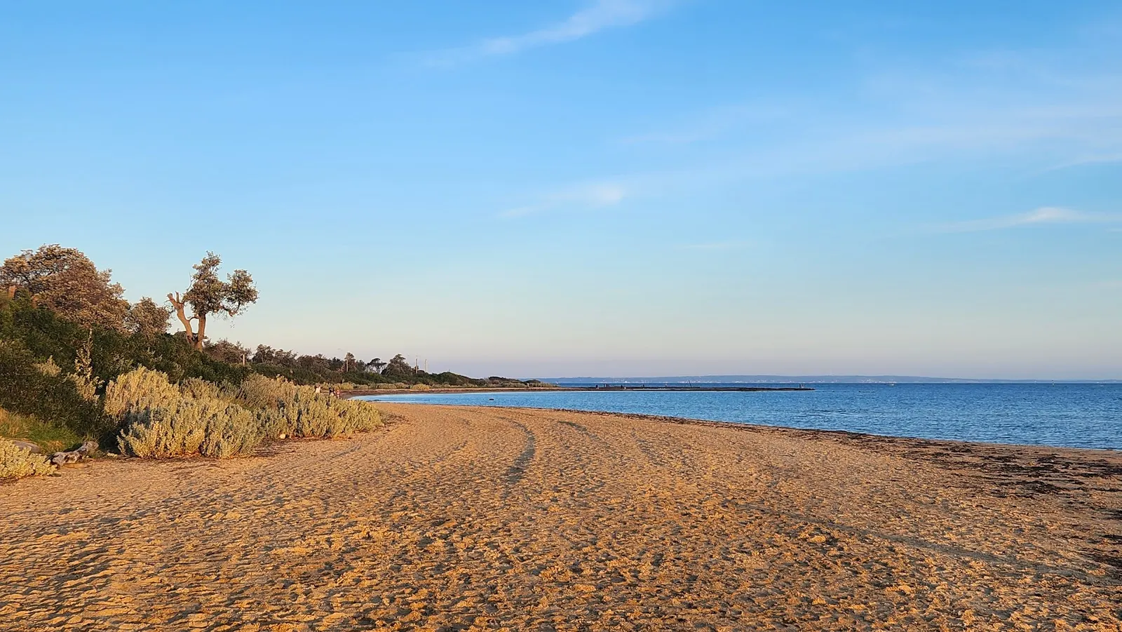 Ricketts Point Dog Off Leash Area dog-friendly beach